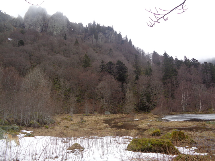 Vosges- retour à Frankenthal