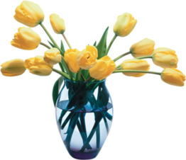 Tubes : Vase fleurs 
