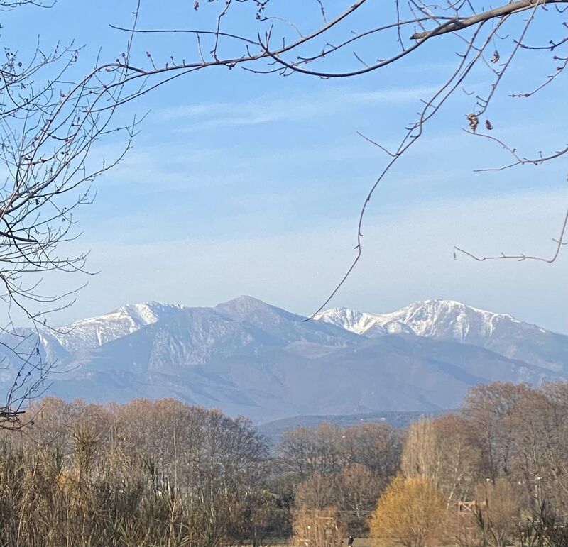 Au lac de bon matin... en famille !