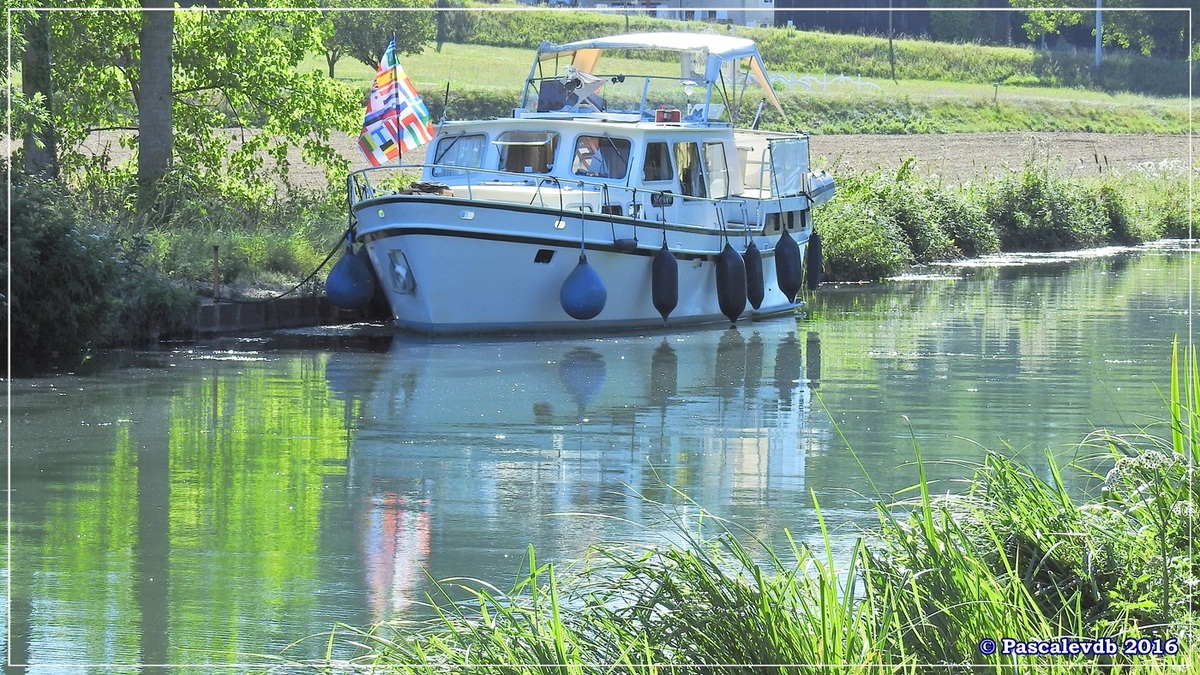 Le long du canal latéral à la Garonne - Août 2016 - 11/12