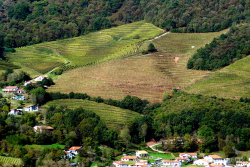 Saint Jean Pied de Port : paysages ... n3