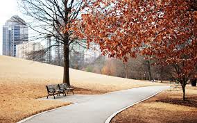 Notes d'automne ...