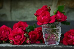 les roses ....de mon jardin !!!