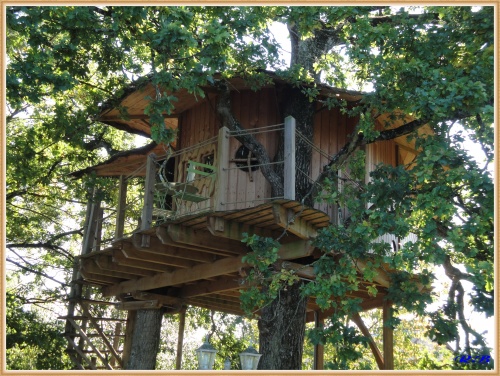 La Maison dans les Arbres.