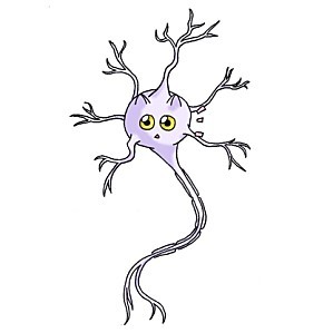 neurones mini