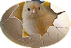 PAQUES = PASCOA
