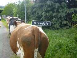 Séjour à la ferme