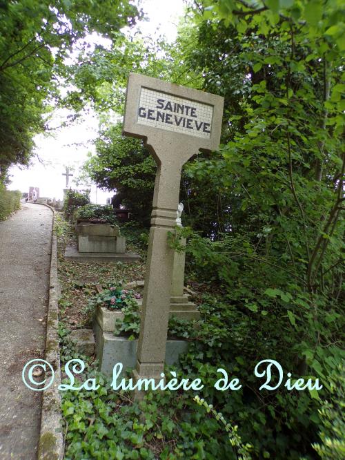 Le Havre, abbaye de Graville