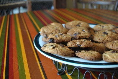 Palets bretons aux pépites de chocolat