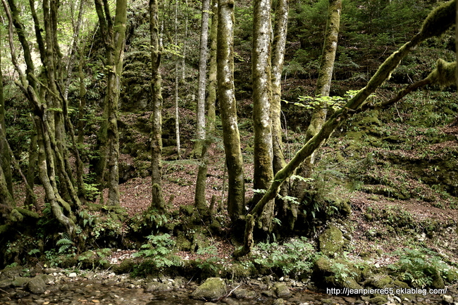 2015.07.19 Bain de fraicheurs dans le Vercors (1)