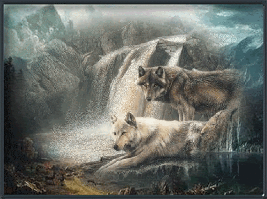 10 images de Loups