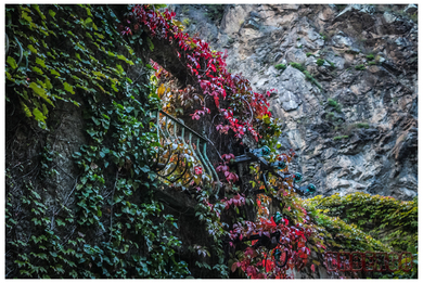 Les termes rouges