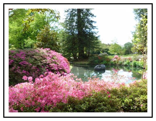 Parc  floral de la Beaujoire a Nantes