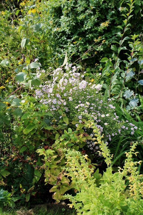 Jardin d'automne