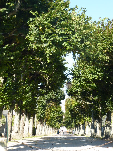 COULEURS D'AUTOMNE A BEAUGENCY