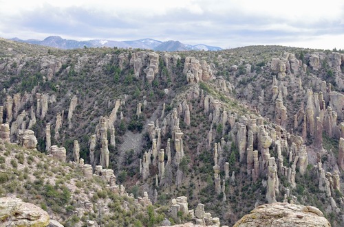 Jour 10 - Chiricahua National Monument