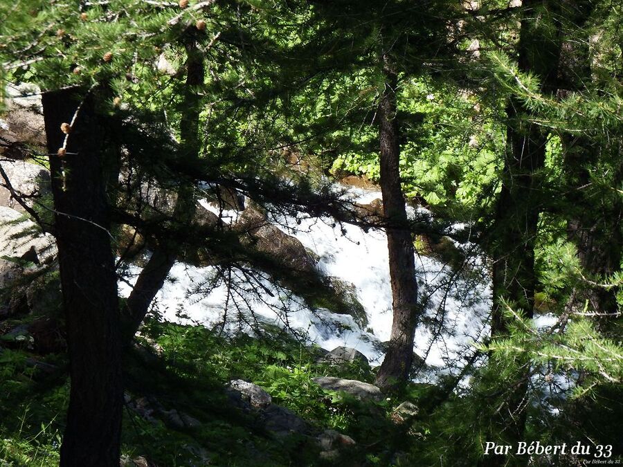 La rando pour aller au lac d'Allos (2)