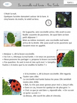 LA COCCINELLE MAL LUNEE