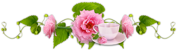 Barre-separation-pivoine-roses-et-cafe-.5934bf4f – MA POÉSIE À MOI