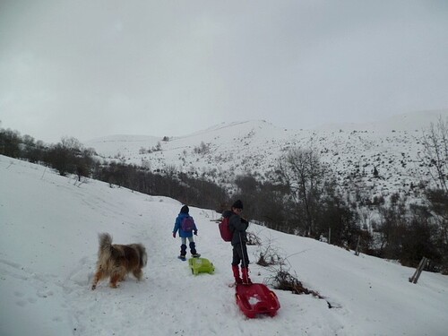 Luge : Sarrat de Couseillot (Oueil) - 31