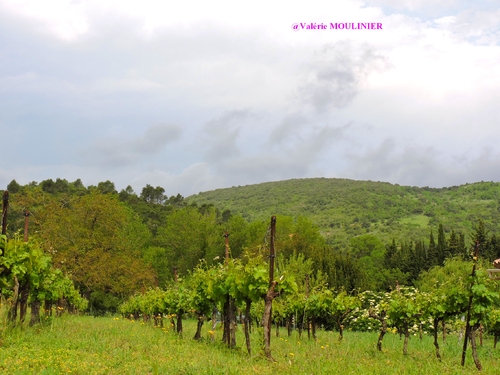 Villerouge-Termenès : mes photos