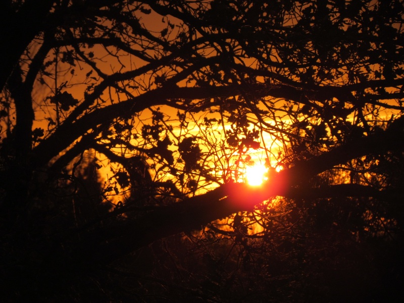 PHOTOS DE SOLEIL COUCHANT .