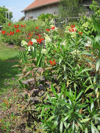 Le jardin public de Mimizan en juillet