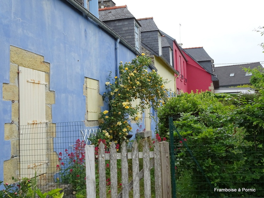 Morgat - Finistère - Mai 2019 