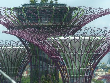 singapour - achitecture moderniste et nature domestiquée