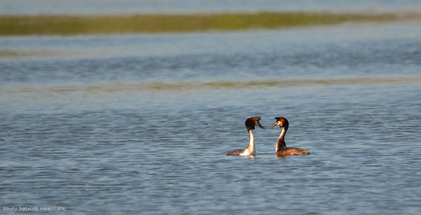 Sortie à Aiguelongue