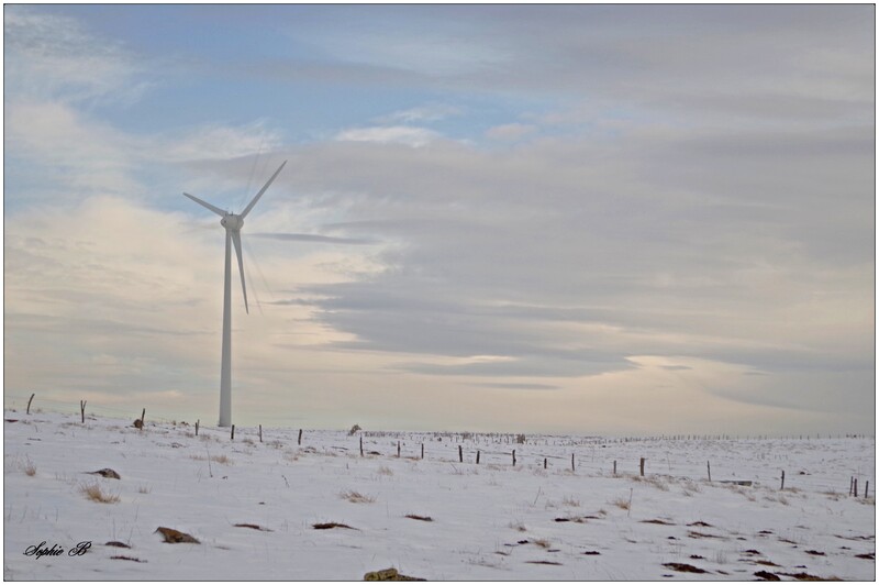 Eoliennes , dans le Cézallier.