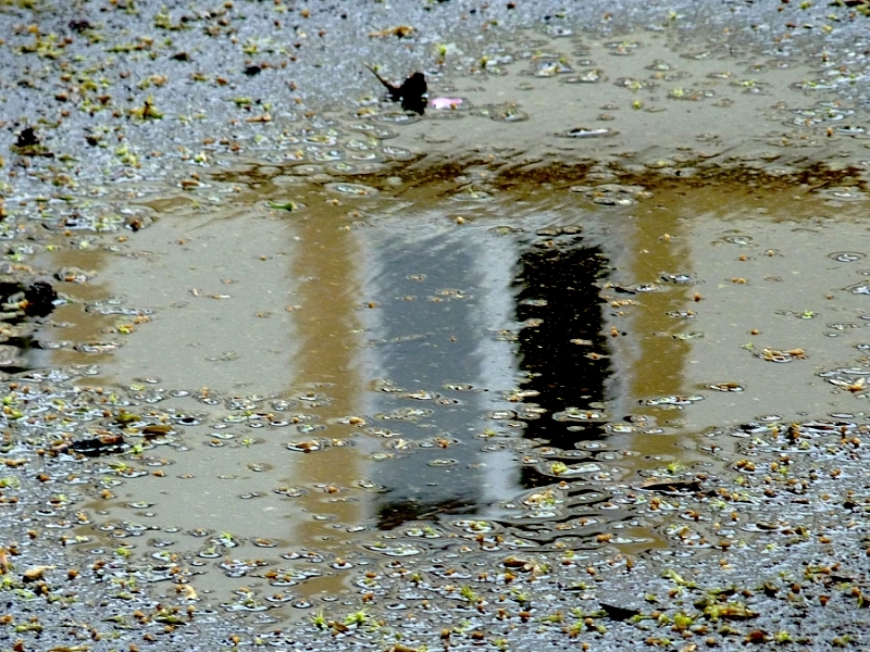 Metz / Un printemps Ying et Yang...