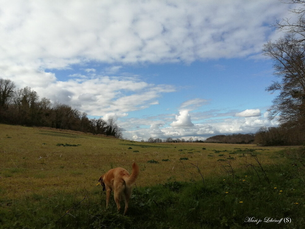 Dans la belle nature