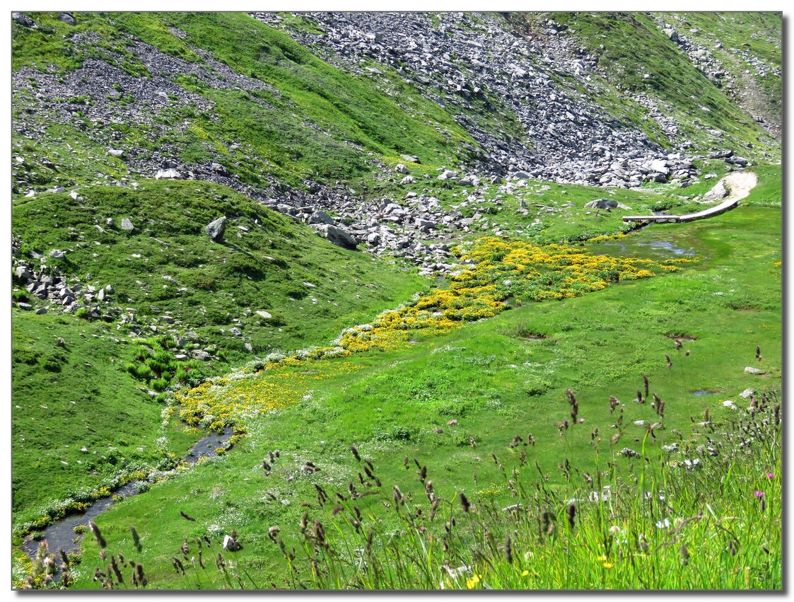 LE  COL  DU  PETIT  ST BERNARD   SUITE 