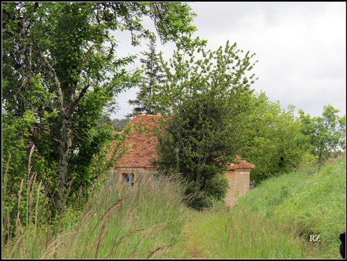 LE PRINTEMPS A LA CLAIRIERE DU TEMPS