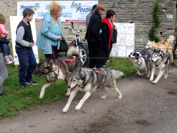 L'Association "Esprit des Loups Polaire", à la ferme des quatre Bornes, a présenté ses projets...