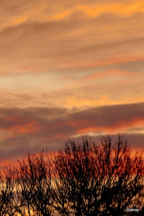 Ciel du matin