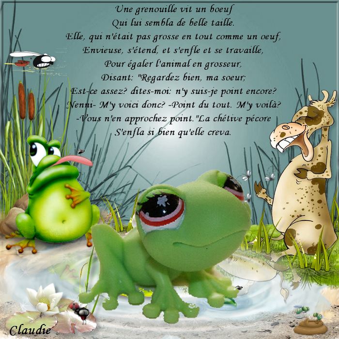 grenouille 4