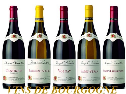 vins_de_bourgogne.jpg