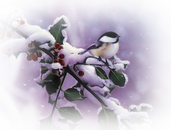 TUBES NOEL VARIES PNG...POUR VOS CREAS...BONNE SEMAINE...CAROLINE