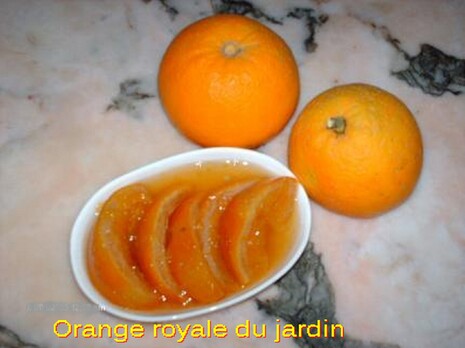 Orange royale du jardin
