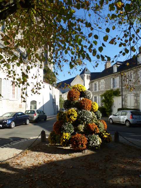 COULEURS D'AUTOMNE A BEAUGENCY