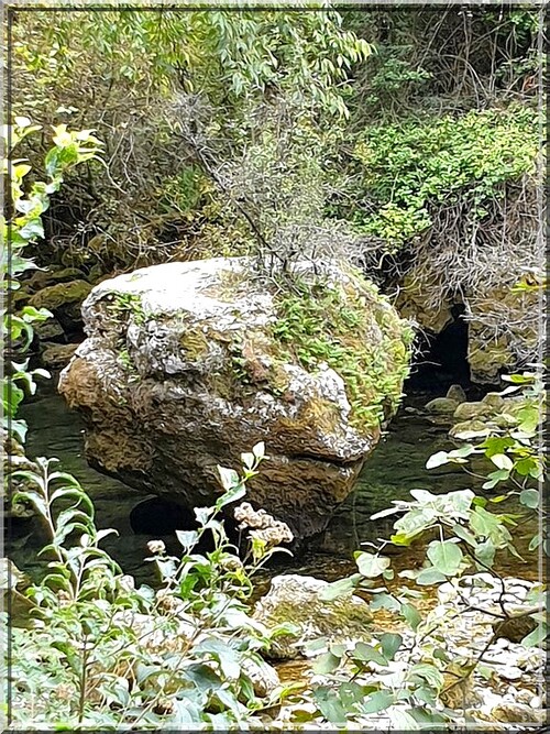 1026 - Fontaine de Vaucluse (84)