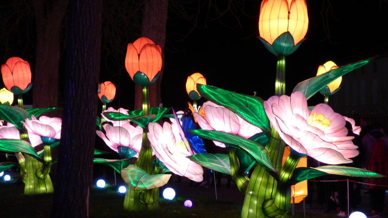La Fête des Lanternes...Féérie chinoise à Gaillac (tarn)