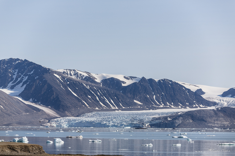 Ny  Ålesund