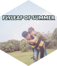 The Flyleaf of Summer