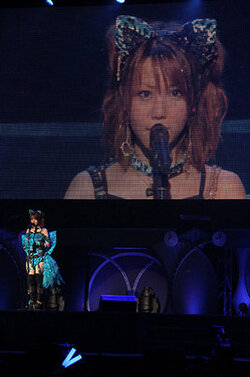 Retour sur la Graduation de Tanaka Reina au Nippon Budokan