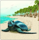 sea_turtle