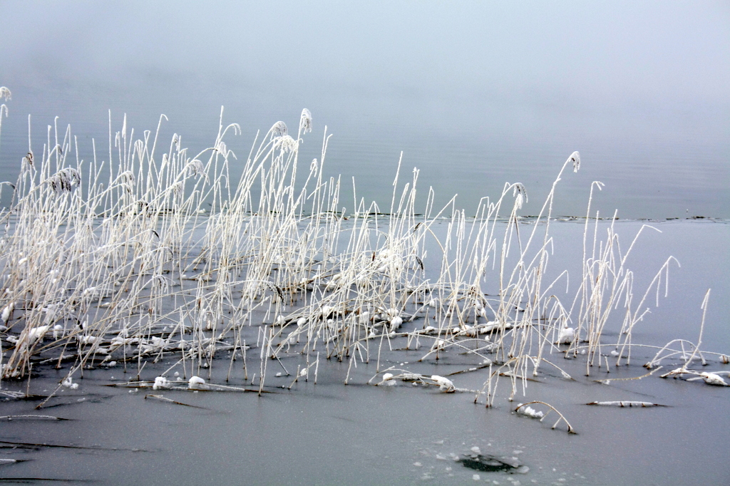 Gangue de glace