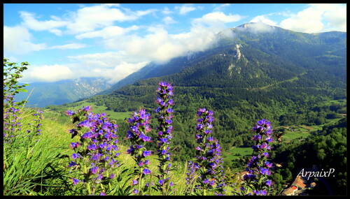 Mer de nuages à Montségur .Ariège 